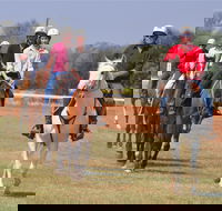 Pride of the West Races 2020 - Accommodation Adelaide