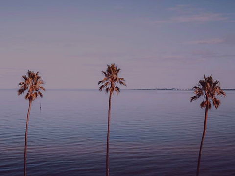 Sunset Streaming Live DJ Streams - Accommodation Adelaide 0