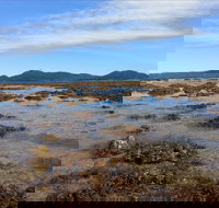 Walk to the Reef - Accommodation Adelaide