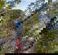 Wild Earth Coastal High 50 - Accommodation Adelaide