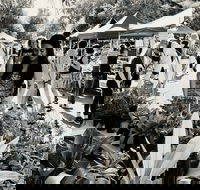 Yamba Farmers and Producers Market - Accommodation Adelaide