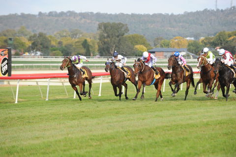 Aggies Race Day - Accommodation Adelaide 0
