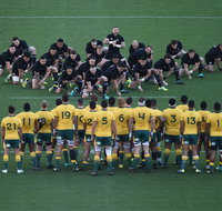 Bledisloe Cup Qantas Wallabies versus All Blacks - Accommodation Adelaide