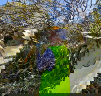 Conservation Volunteers Australia Townsville - Beach Scrub Conservation - Accommodation Adelaide