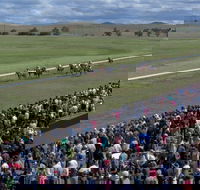 Cooma Sundowners Cup - Accommodation Adelaide