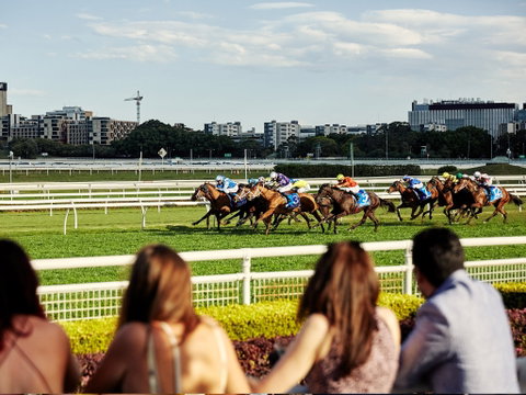 Cup Day - Accommodation Adelaide 1
