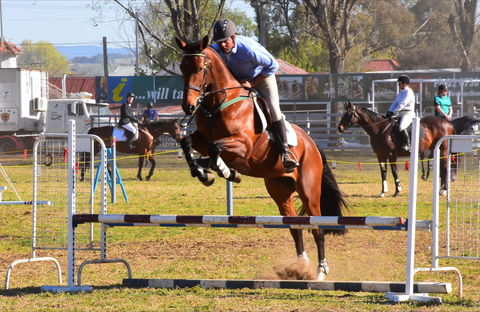 Glen Innes Pastoral And Agricultural Show - Accommodation Adelaide 0