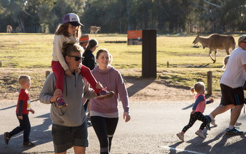 MAAS Group Dubbo Stampede Running Festival - Accommodation Adelaide 1