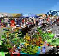 Maclean Macmarket Day - Accommodation Adelaide