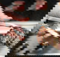 Meat BBQ Cooking Class - Accommodation Adelaide