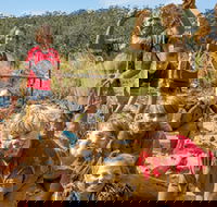 Mini Muddies Obstacle Challenge at Bunnamagoo Estate - Accommodation Adelaide