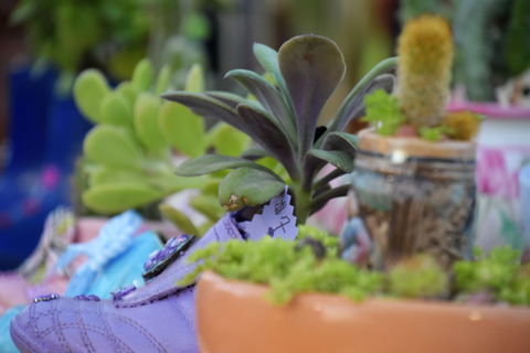 QCWA Sunday Markets - Accommodation Adelaide 1