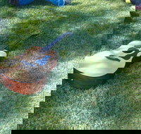 Rosewood Country Round Up Music Festival - Accommodation Adelaide