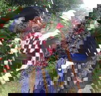 St Georges Day Medieval Dinner - Accommodation Adelaide