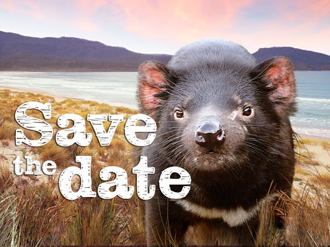 Art Group Longford - Accommodation Adelaide 0