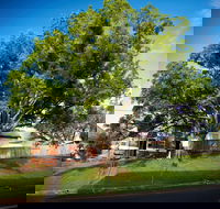 Big Bat Wildlife and Eco Festival - Accommodation Adelaide