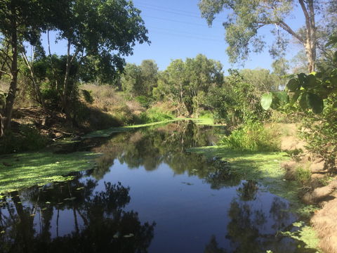 Conservation Volunteers Australia Townsville - Creekwatch - Accommodation Adelaide 0