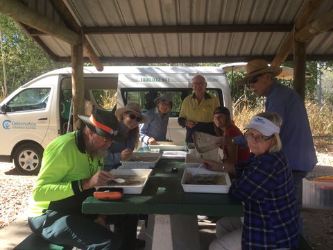 Conservation Volunteers Australia Townsville - Creekwatch - Accommodation Adelaide 1