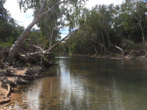 Conservation Volunteers Australia Townsville - Creekwatch - Accommodation Adelaide 2