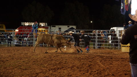 Cunnamulla Fella Festival 2020 - Accommodation Adelaide 2