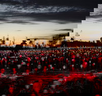Field of Light Uluru - Accommodation Adelaide
