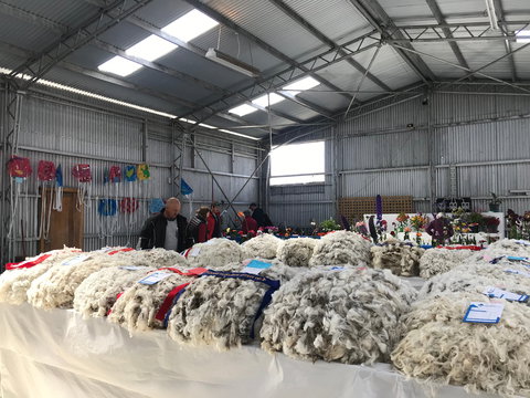 Flinders Island Show - Accommodation Adelaide 2