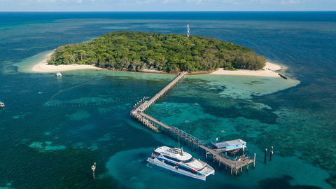 Great Adventures Green Island Ocean Swim - Accommodation Adelaide 0