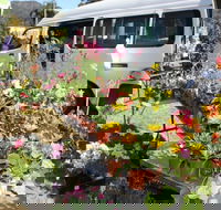 Johns River Country Markets - Accommodation Adelaide