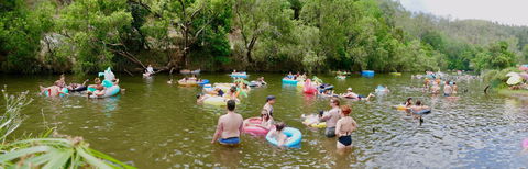 Jungle Love Festival - Accommodation Adelaide 1