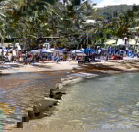 Lions Airlie Beach Community Markets - Accommodation Adelaide