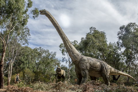 Lost Sanctuary At Healesville Sanctuary - Accommodation Adelaide 0