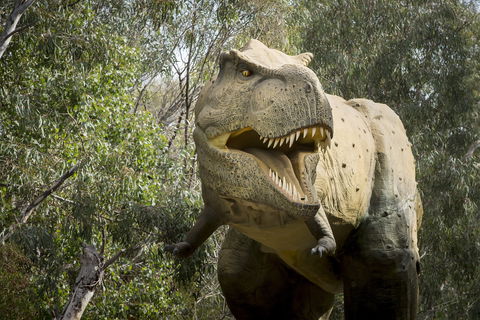 Lost Sanctuary At Healesville Sanctuary - Accommodation Adelaide 2