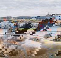 Mudgee Small Farm Field Days - Accommodation Adelaide