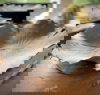 Online live streaming class DIY Clay Hand Building for Beginners - Accommodation Adelaide