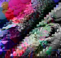 Port Douglas Hot and Steamy Festival - Accommodation Adelaide