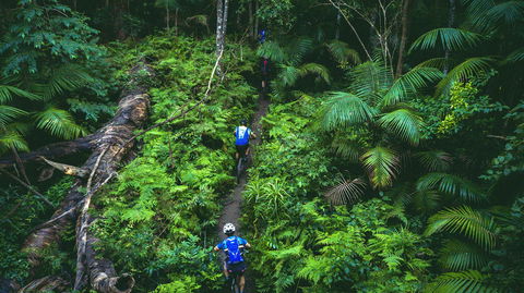 Reef To Reef - Accommodation Adelaide 7