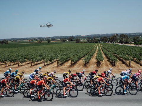 Santos Tour Down Under - Accommodation Adelaide 0