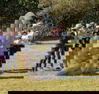 Sculpture for Clyde - Outdoor Exhibition - Accommodation Adelaide