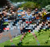 Sweat vs Steam - Accommodation Adelaide