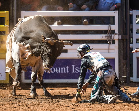 The 2020 Virtual Mount Isa Mines Rodeo - Accommodation Adelaide 2