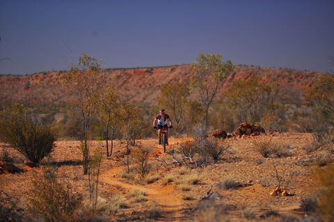 The Redback - Accommodation Adelaide 2