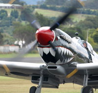 Wings Over Illawarra - Accommodation Adelaide