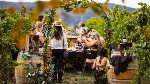 Wine Machine - NEW DATE - Accommodation Adelaide 1