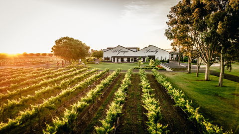 Aged Wine And Vintage Pies - Accommodation Adelaide 2