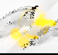 Online live streaming class Make Four Gin Cocktails - Accommodation Adelaide