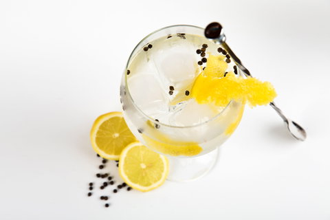 Online Live Streaming Class: Make Four Gin Cocktails - Accommodation Adelaide 0