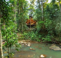 The Canopy Rainforest Treehouses and Wildlife Sanctuary - Accommodation Adelaide
