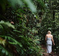 Daintree Ecolodge - Accommodation Adelaide