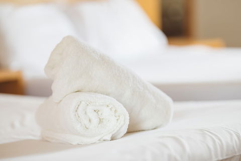 Garden Lodge Sydney - Accommodation Adelaide 4