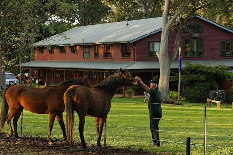 Bilpin Country Lodge - Accommodation Adelaide 1